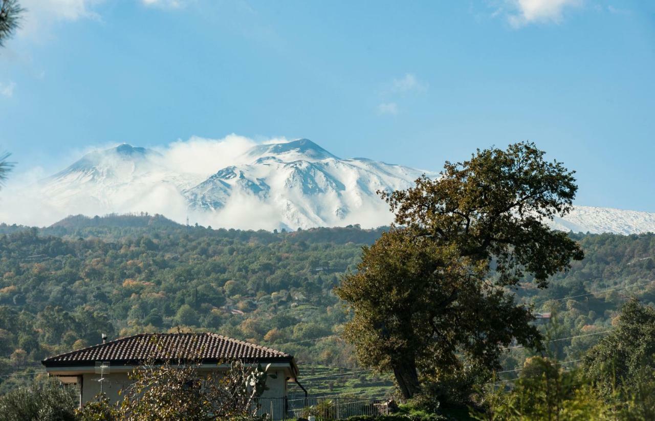 Design Villa In Piedimonte Etneo Kültér fotó